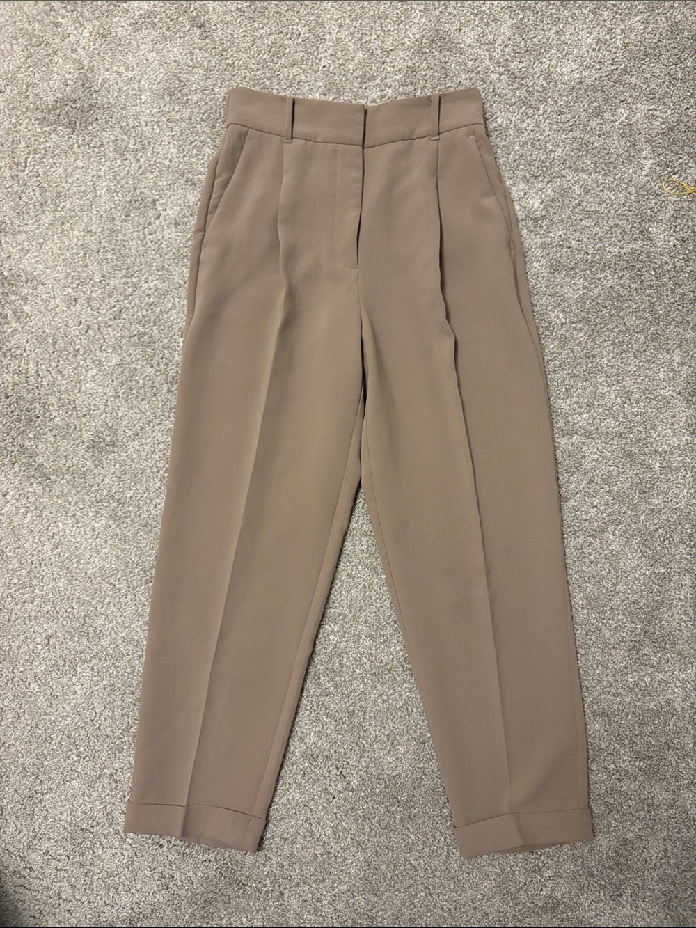Aritzia Taupe High-Waist Pleated Tapered Trousers